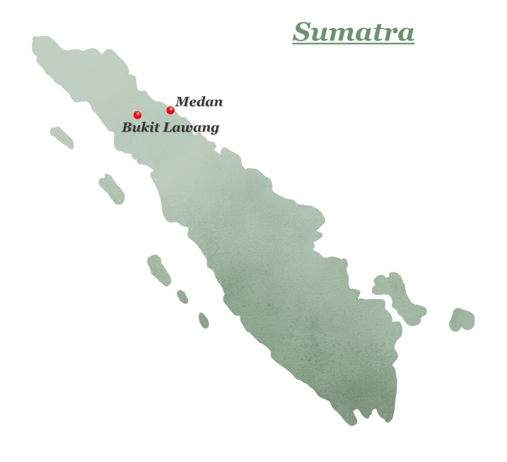 Sumatra