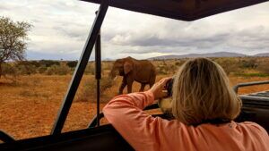 Kenia Safari Elefantenbulle Taita Hills Nationalpark Reiseblog Kenia
