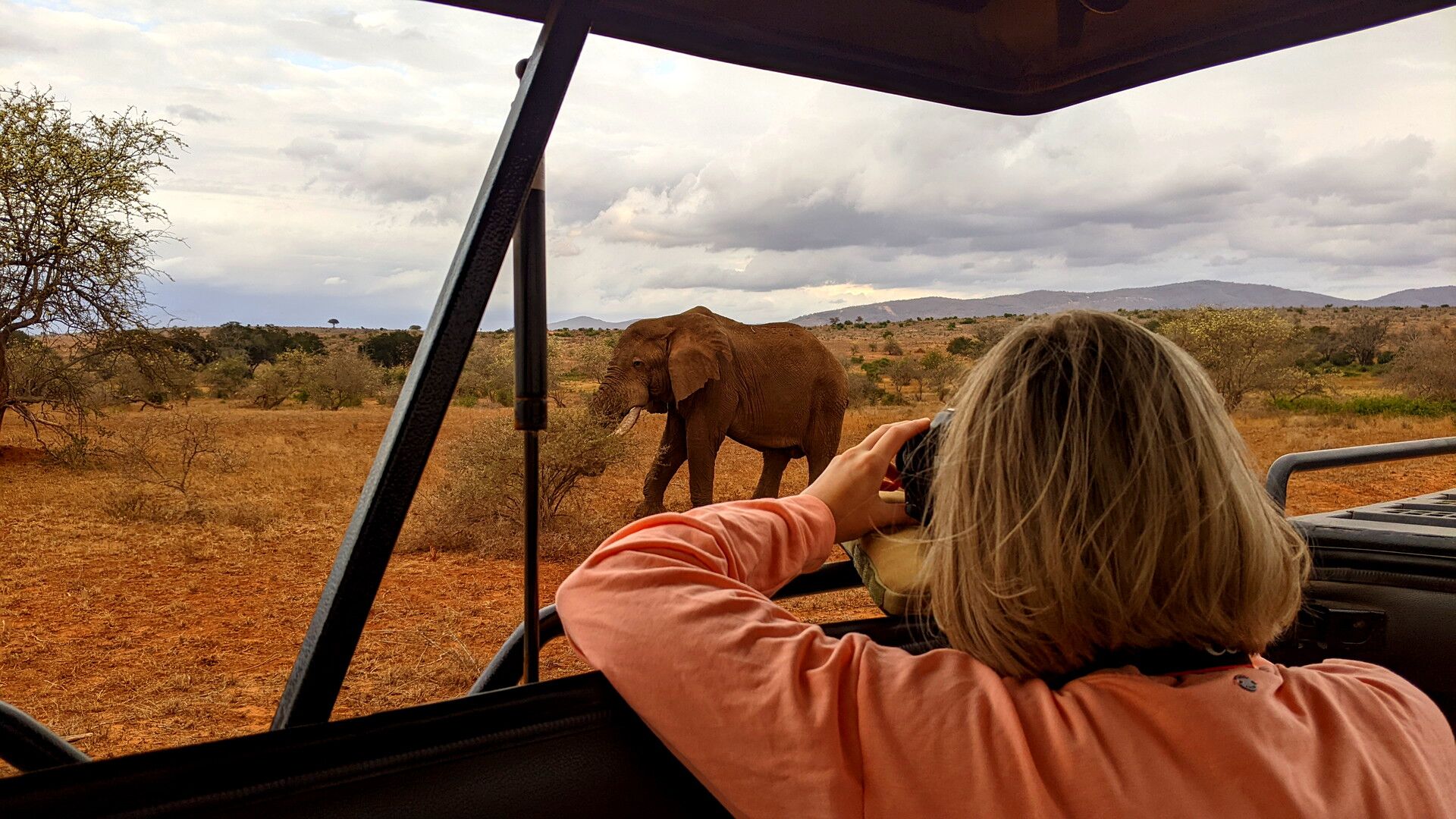 Kenia Safari Elefantenbulle Taita Hills Nationalpark Reiseblog Kenia
