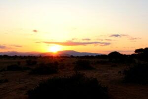 Kenia Safari Sonnenuntergang in der Savanne Tsavo Ost Nationalpark Reiseblog