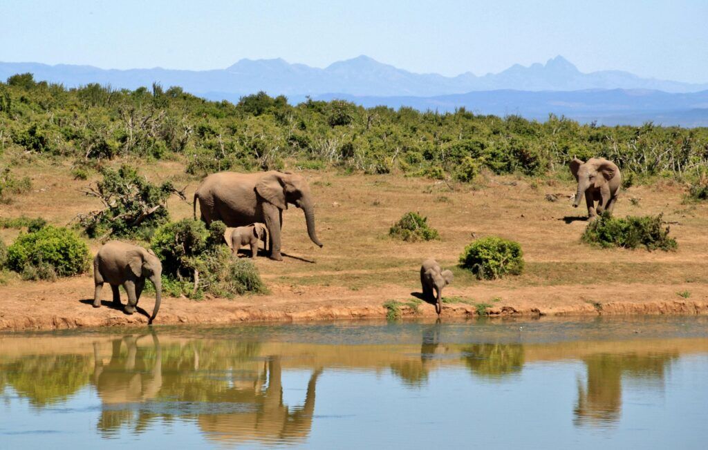 Südafrika Januar warm