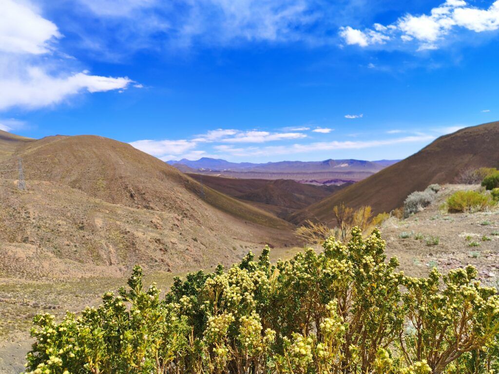 Tag 84 bis 88 – Silber, Staub und Steak – unser ehrlicher Reisebericht aus Bolivien 8